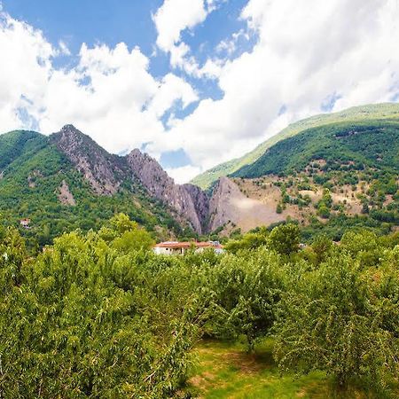 Irenes Resort Като-Лутракі Екстер'єр фото